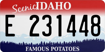 ID license plate E231448