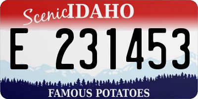 ID license plate E231453