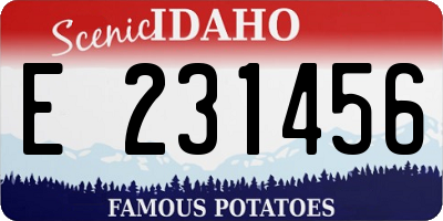 ID license plate E231456