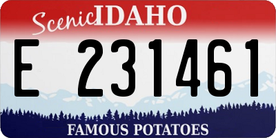 ID license plate E231461