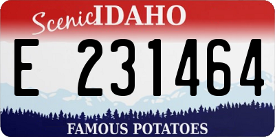 ID license plate E231464