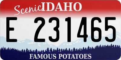 ID license plate E231465