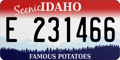 ID license plate E231466