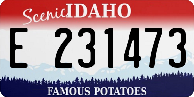 ID license plate E231473