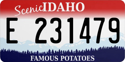 ID license plate E231479