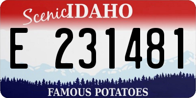 ID license plate E231481