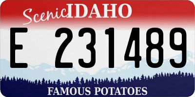 ID license plate E231489
