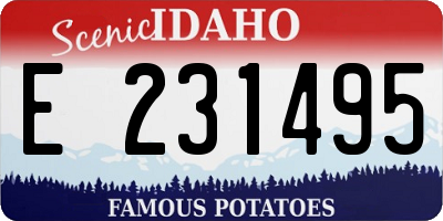 ID license plate E231495