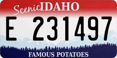 ID license plate E231497