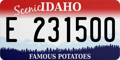 ID license plate E231500