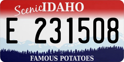 ID license plate E231508
