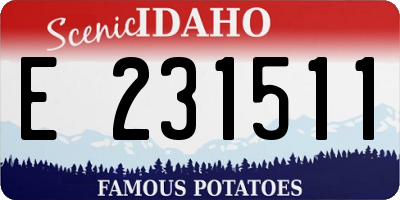 ID license plate E231511