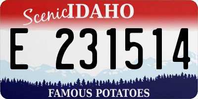 ID license plate E231514