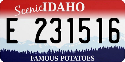 ID license plate E231516
