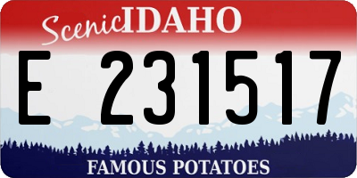 ID license plate E231517