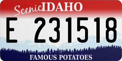 ID license plate E231518
