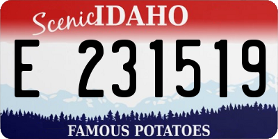 ID license plate E231519