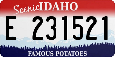 ID license plate E231521