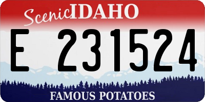 ID license plate E231524