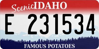 ID license plate E231534