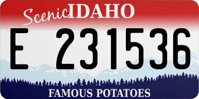 ID license plate E231536