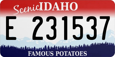 ID license plate E231537
