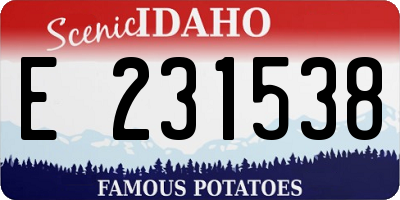 ID license plate E231538