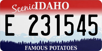 ID license plate E231545