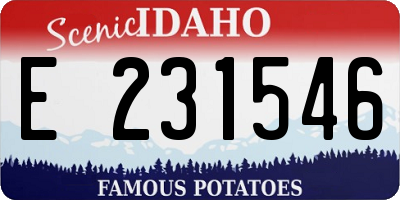 ID license plate E231546