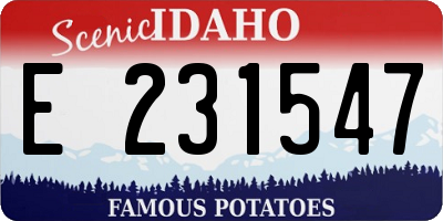 ID license plate E231547