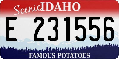 ID license plate E231556
