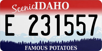 ID license plate E231557