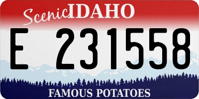 ID license plate E231558
