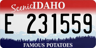 ID license plate E231559