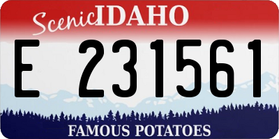 ID license plate E231561