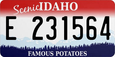 ID license plate E231564