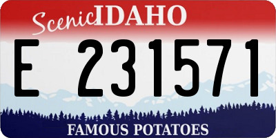 ID license plate E231571