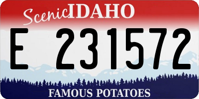 ID license plate E231572