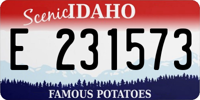 ID license plate E231573