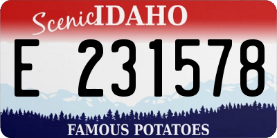 ID license plate E231578