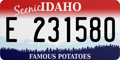 ID license plate E231580