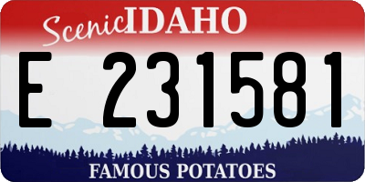 ID license plate E231581
