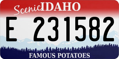 ID license plate E231582