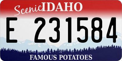 ID license plate E231584