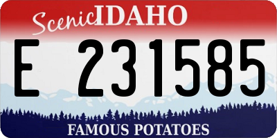 ID license plate E231585