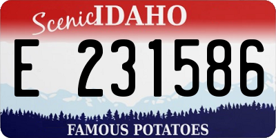 ID license plate E231586