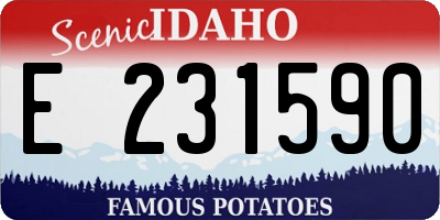 ID license plate E231590