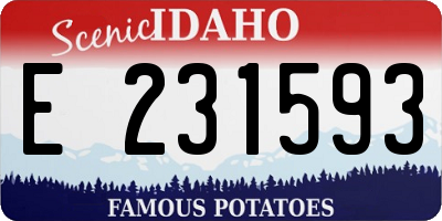 ID license plate E231593