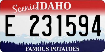 ID license plate E231594