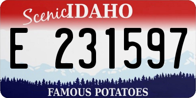 ID license plate E231597